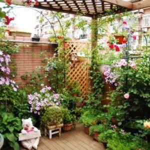 成都同心缘园艺有限公司